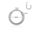 Earring StainlessSteel 0.8X6mm