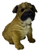 Dog Pug Sitting