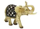 Elephant Ivory With Coat