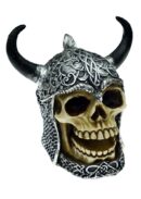 Skull With Helmet