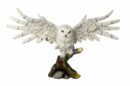 Owl With Outstretched Wings