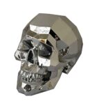 Skull With Bevelled Edges