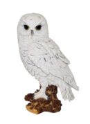 Owl Standing On Base
