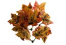 Autumn Leaves 50pcs