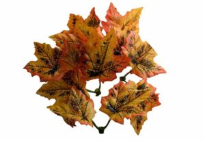 Autumn Leaves 50pcs