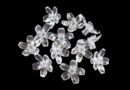 Daisies Clear 100pcs
