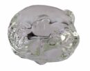 Glass Pig Clear