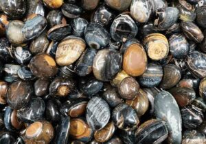 Tumblestone Blue Tiger's Eye 2-3cm
