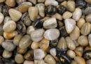 Tumblestone Bumble Bee Jasper