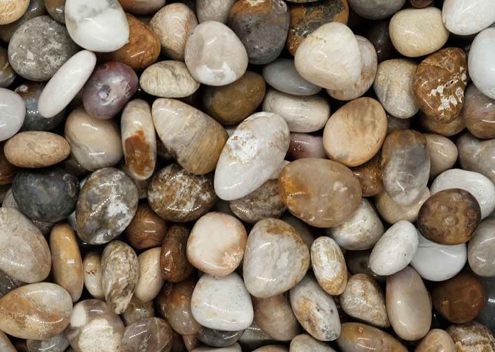 Tumblestone Fossil Coral