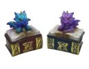 Box Dragon On Book Set Of 2 (Big Discounts!)