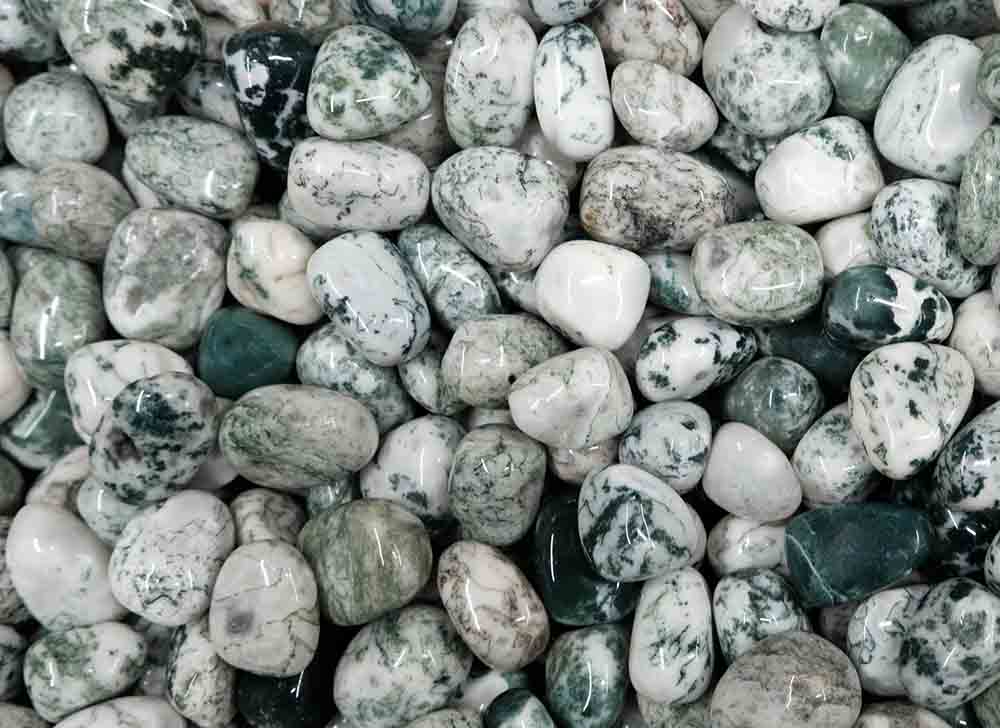 Tumblestone Tree Agate 2-3cm