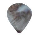 Shiva Shell Drop Shape