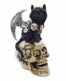 Cat on Skull Box 12.5X10X18.5cm
