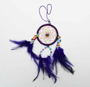 Dream Catcher Purple Small Wit