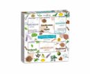 Incense Cone Aroma Floral 12