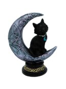 Cat Black On Moon Large