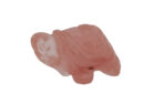 Tortoise Cherry Quartz 25mm