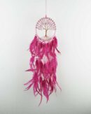 Dream Catcher Rose Q Tree Of Life