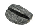 Orthoceras Fossil Plaque. Approx 15cm