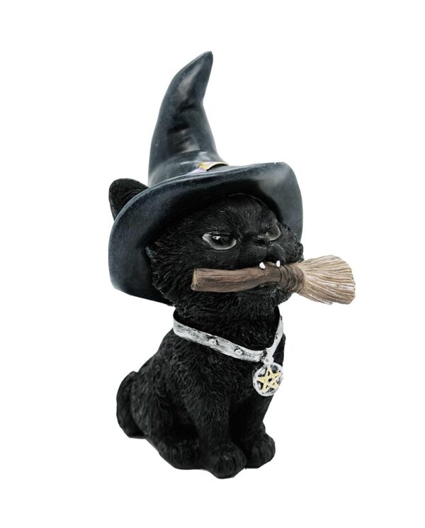Cat Witchy With Pentagram