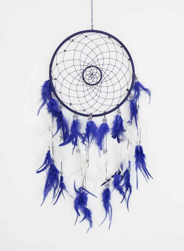 Dream Catcher Purple Web