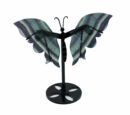Butterfly Wings Fluorite