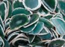 Stone Agate Slice Green 4-6cm