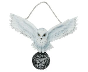 Hanging Owl White On Pentagram