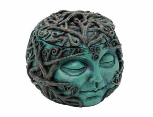 Box Buddha Head With Tree