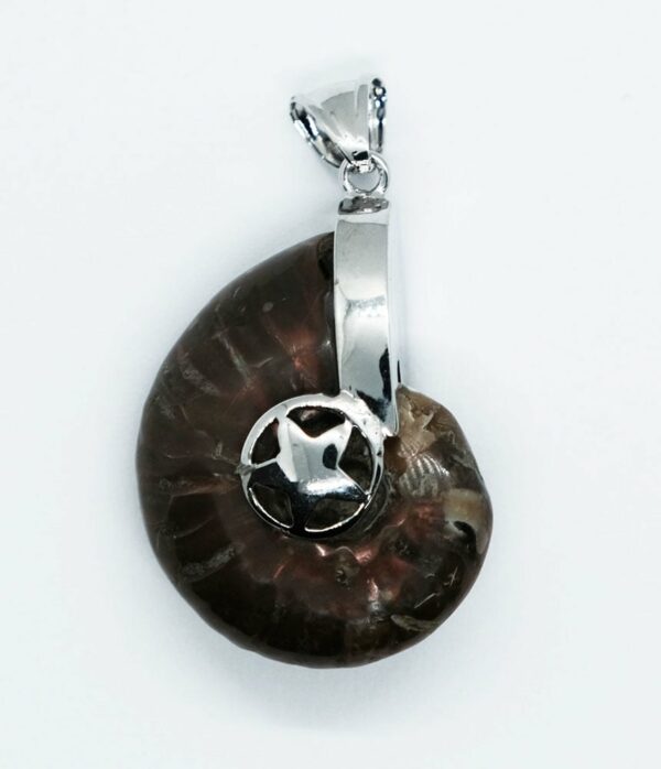 Pendant Caged Star Ammolite
