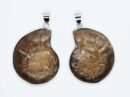 Pendant Ammolite Pair