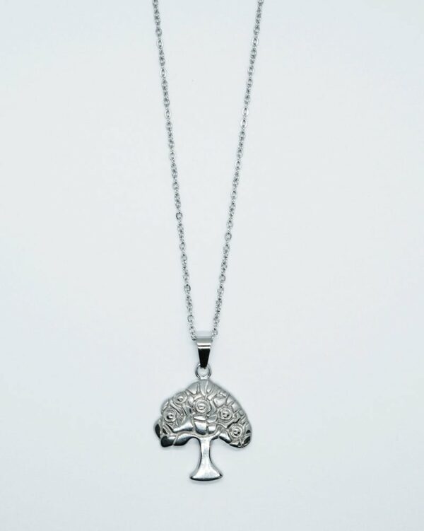 Necklace Stainless Steel TOL