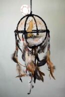 Cage Wolf Sitting 6 Inch