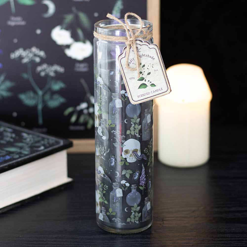 Candle Tube Poisonous Plants - Image 2