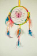 Dream Catcher With Butterfly 6.5 Inch