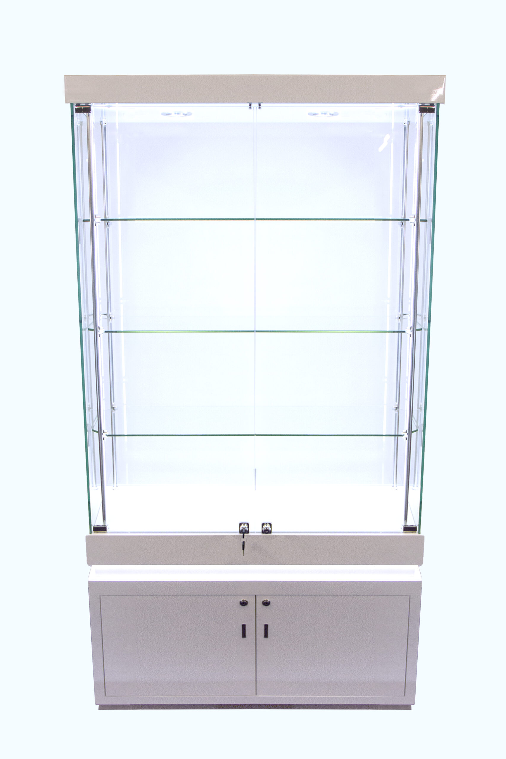 Cabinet 1000X400X1900mm SW