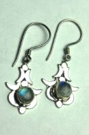 Silver Earring Moons Moonstone
