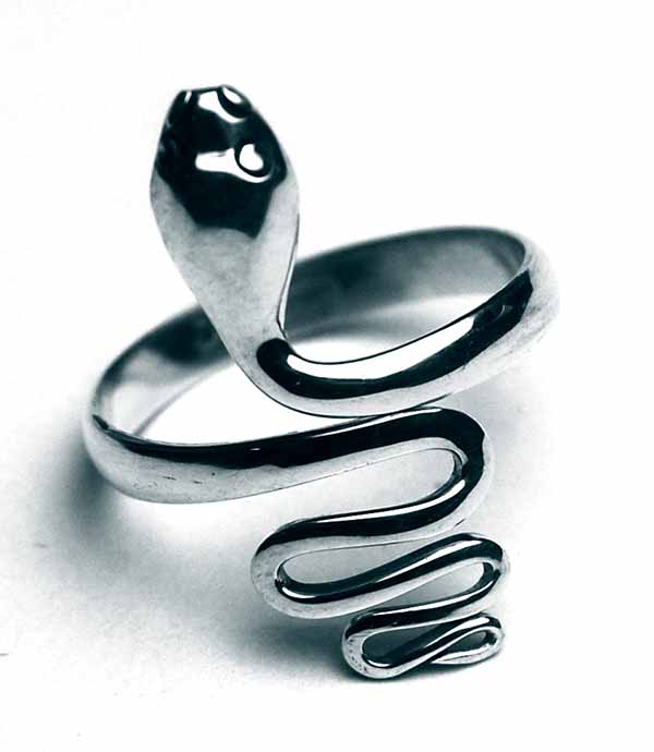 Silver Ring Snake Plain