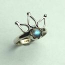 Silver Ring Rainbow Crown