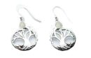 Silver Earring Tree Rainbow