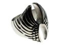 Ring Wings Stainless Steel