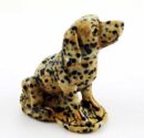 Dalmatian Dog Dalmatine Jasper