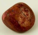 Tumble Stone Coral 20-30mm 4pcs