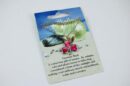 Necklace Shell Clover Leaf Pink