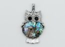 Pendant Owl Abalone
