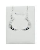 Silver Plated Earring Moon Rainbow