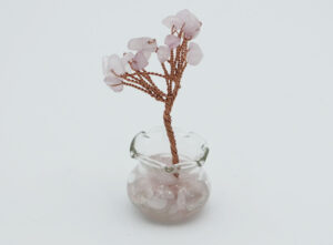 Tree Glass Pot Rose Qz